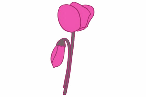 帶顏色的仙客來(lái)簡(jiǎn)筆畫 帶顏色的仙客來(lái)簡(jiǎn)筆畫