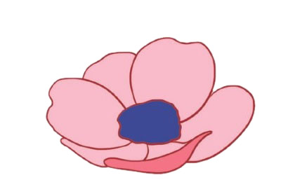 簡單漂亮的銀蓮花怎么畫