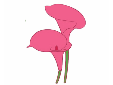 簡單漂亮的馬蹄蓮怎么畫