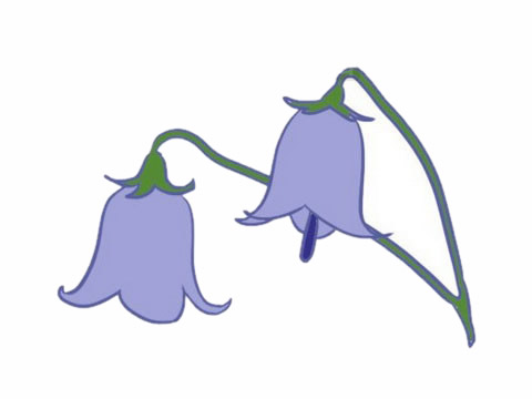 紫色的鈴蘭花簡筆畫