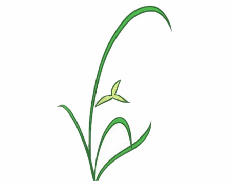簡單的蘭花怎么畫