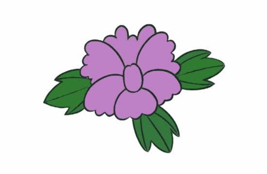 帶顏色的牡丹花簡筆畫怎么畫？