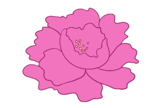 一大朵牡丹花簡筆畫帶顏色