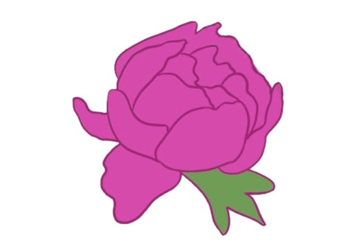 牡丹花怎么畫簡單又好看