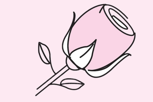 關于玫瑰花的簡筆畫