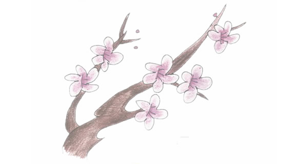 帶顏色的梅花簡筆畫怎么畫？