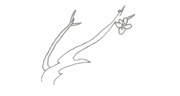 帶顏色的梅花簡筆畫怎么畫？