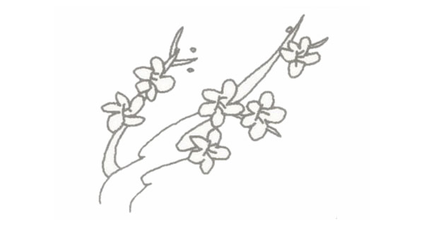 帶顏色的梅花簡筆畫怎么畫？