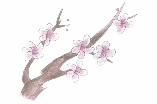 帶顏色的梅花簡筆畫怎么畫？
