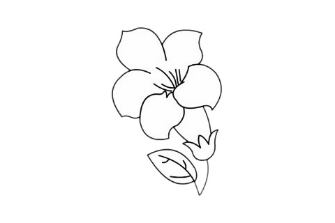 杜鵑花簡筆畫簡單畫法步驟