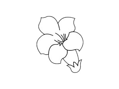 杜鵑花簡筆畫簡單畫法步驟