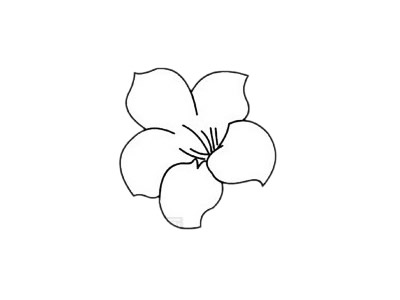 杜鵑花簡筆畫簡單畫法步驟