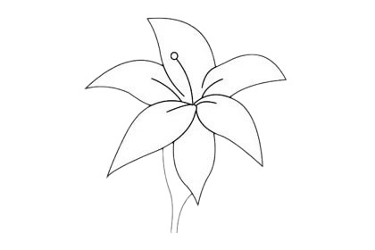 三款杜鵑花的簡(jiǎn)筆畫 三款杜鵑花的簡(jiǎn)筆畫