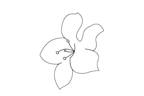 三款杜鵑花的簡(jiǎn)筆畫 三款杜鵑花的簡(jiǎn)筆畫