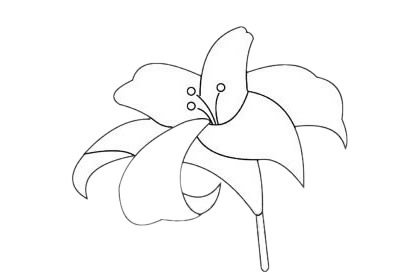 簡單的杜鵑花怎么畫