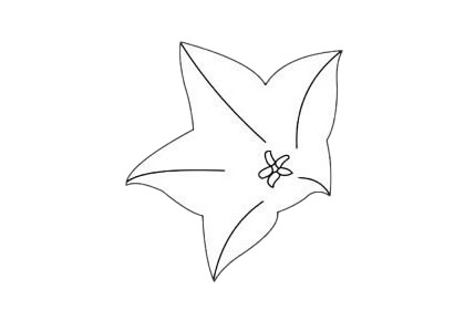四款關于桔?；ǖ暮喒P畫