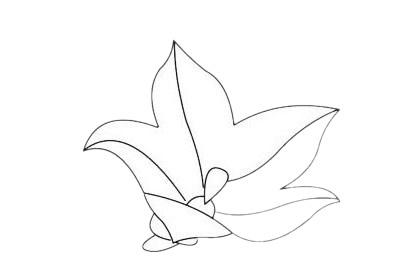 四款關于桔梗花的簡筆畫