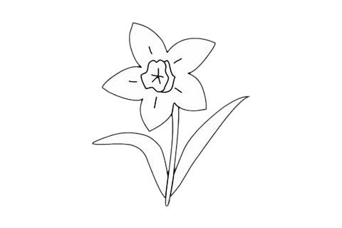 水仙花簡筆畫畫法步驟 水仙花簡筆畫畫法步驟