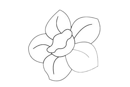 水仙花的花朵簡筆畫