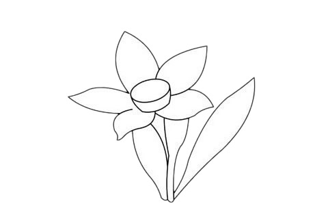 超級簡單的水仙花簡筆畫