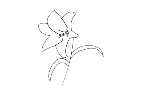 3款關(guān)于百合花的簡筆畫