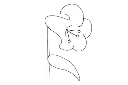 3款關(guān)于百合花的簡筆畫