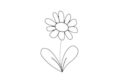 一組關于菊花的簡筆畫大全