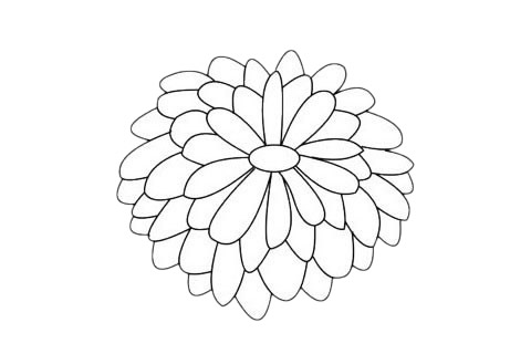一組關于菊花的簡筆畫大全