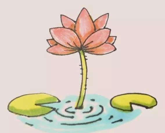 漂亮的水彩荷花簡筆畫