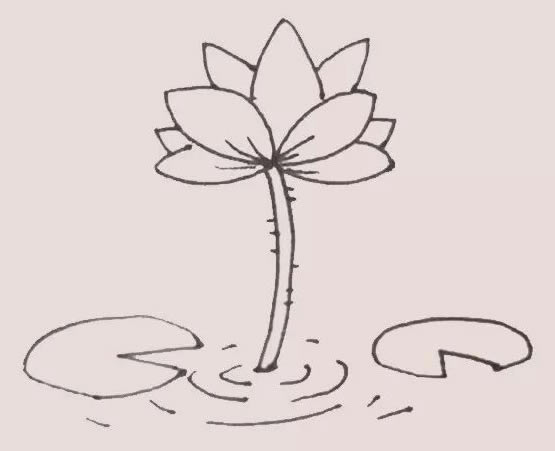 漂亮的水彩荷花簡筆畫