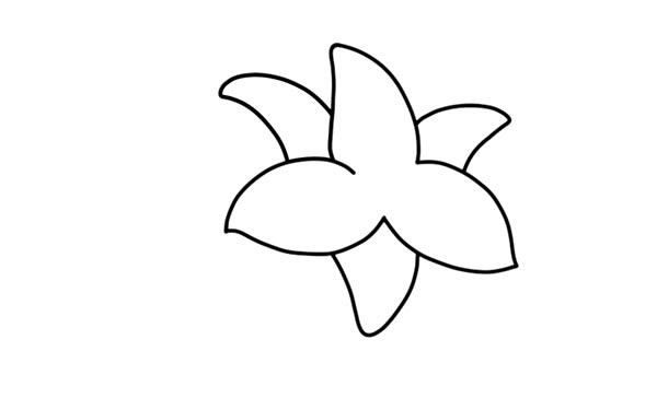 鮮艷的百合花簡(jiǎn)筆畫教程