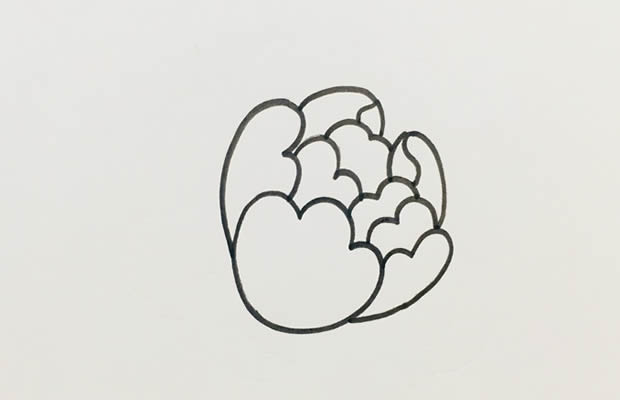 鮮艷漂亮的牡丹花簡(jiǎn)筆畫