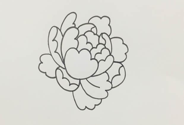 鮮艷漂亮的牡丹花簡(jiǎn)筆畫