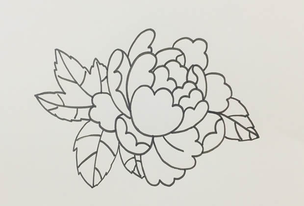 鮮艷漂亮的牡丹花簡(jiǎn)筆畫