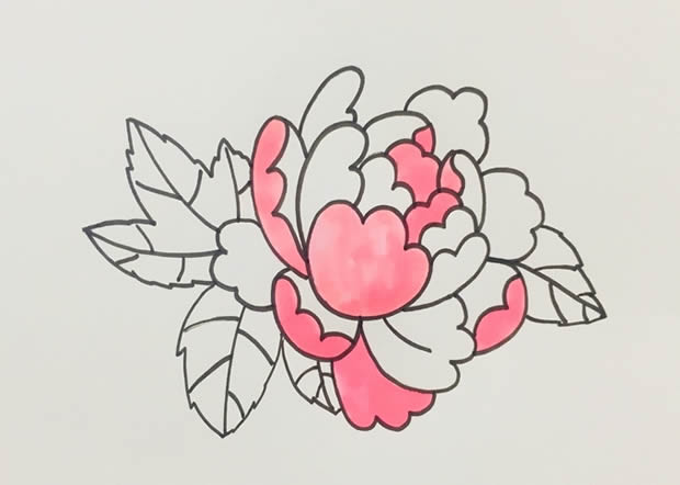 鮮艷漂亮的牡丹花簡(jiǎn)筆畫