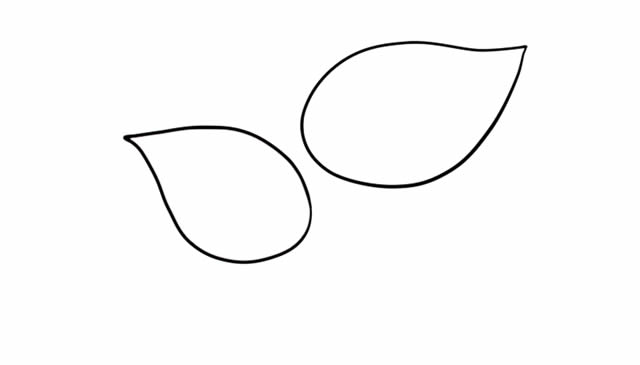 彩色的馬蹄蓮簡(jiǎn)筆畫(huà)教程