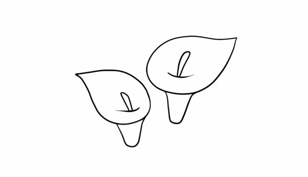 彩色的馬蹄蓮簡(jiǎn)筆畫(huà)教程