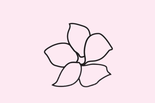 一組櫻花的花朵簡筆畫大全