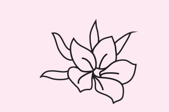 一組櫻花的花朵簡筆畫大全