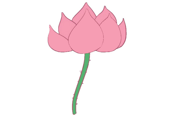 涂色的荷花簡筆畫