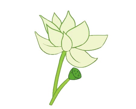 綠色的荷花簡筆畫