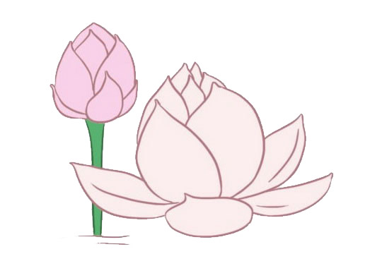 關于荷花的簡筆畫帶顏色