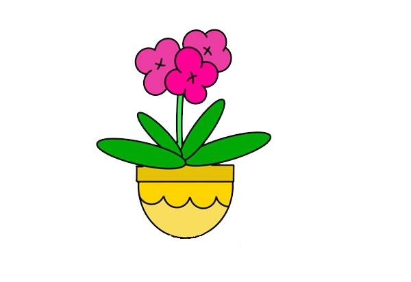 花盆里的蘭花簡筆畫
