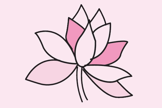 一組關于荷花的簡筆畫大全