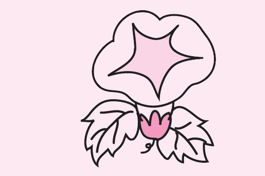 一組關于牽牛花的簡筆畫大全