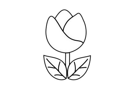 簡單易學的郁金香簡筆畫