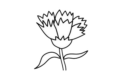 3款關于康乃馨的簡筆畫