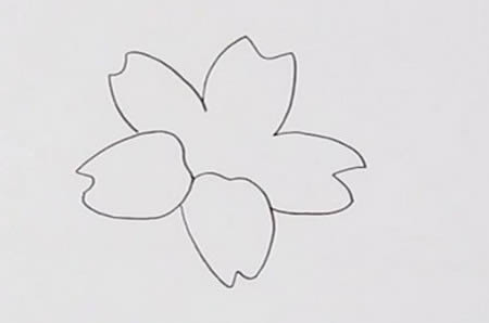 漂亮的迎春花簡筆畫教程