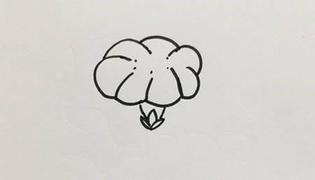 好看的牽牛花簡(jiǎn)筆畫教程