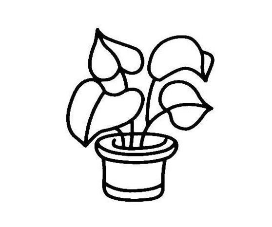 綠植小盆栽簡筆畫